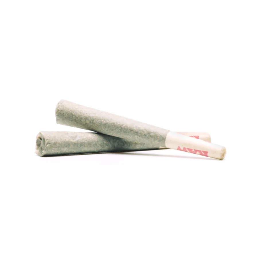 preroll king2 raw
