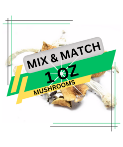 Magic Mushroom Mix And Match - 1 Oz