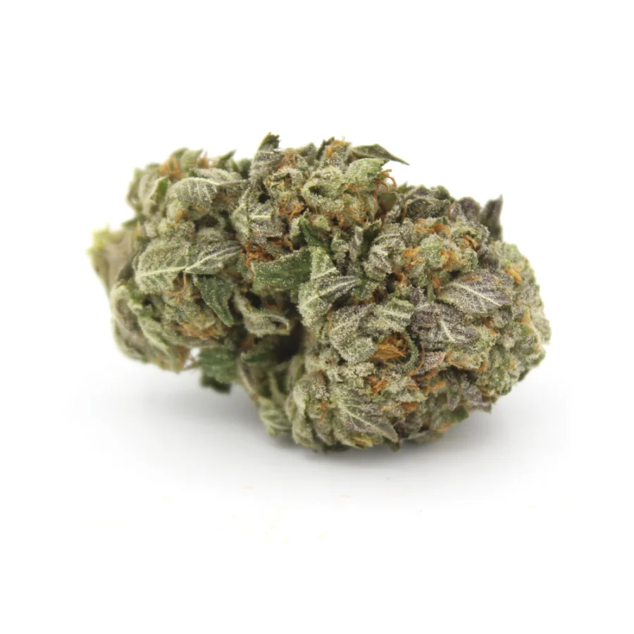 Blue Rhino AAA