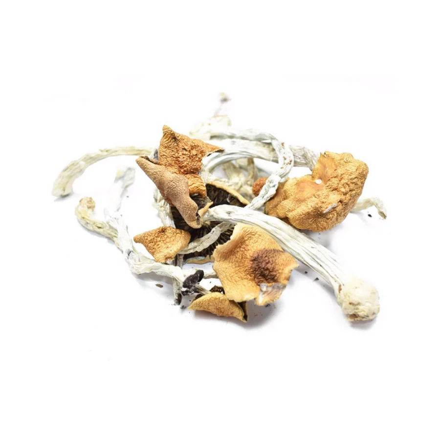 B+ Dried Mushroom