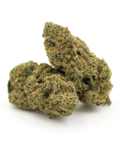 Divine Mints | Aaaa