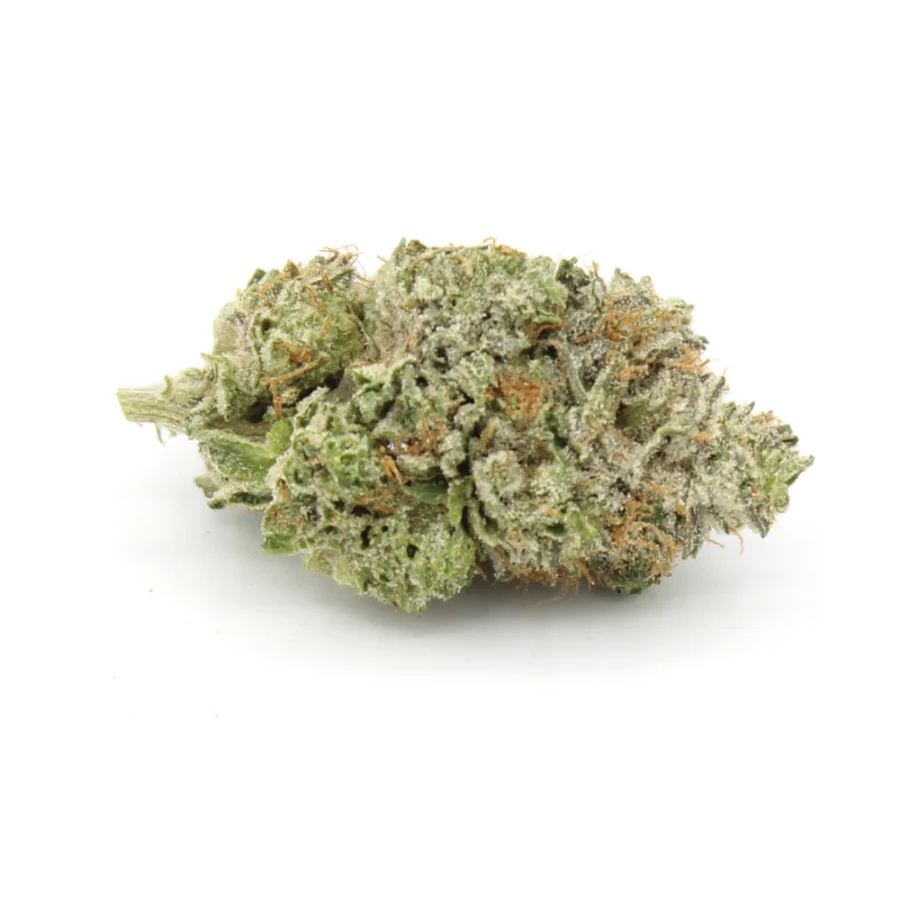 violator kush AAA