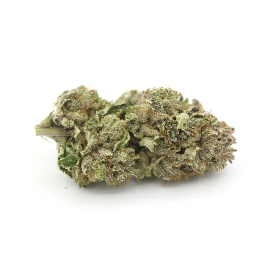 Purple Punch AA