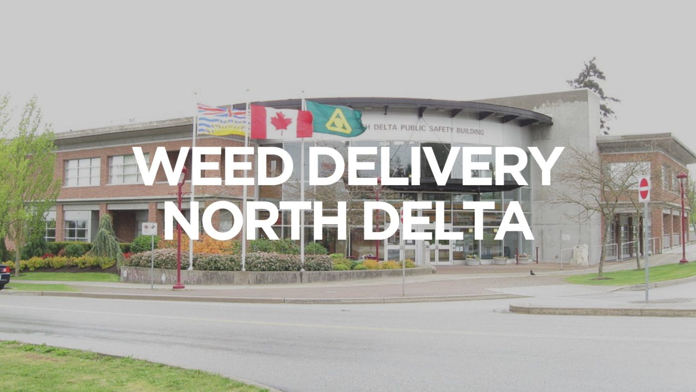 Weed Delivery North Delta, Bc 1 Weed-Delivery-North-Delta