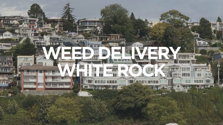Weed-Delivery-White-Rock