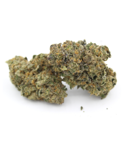 Sundae Driver Aaaa