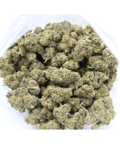 Sundae Driver Aaaa