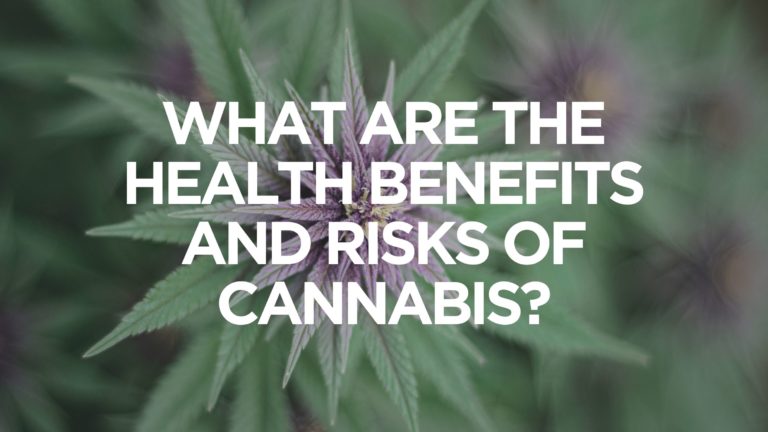 What-Are-The-Health-Benefits-And-Risks-Of-Cannabis