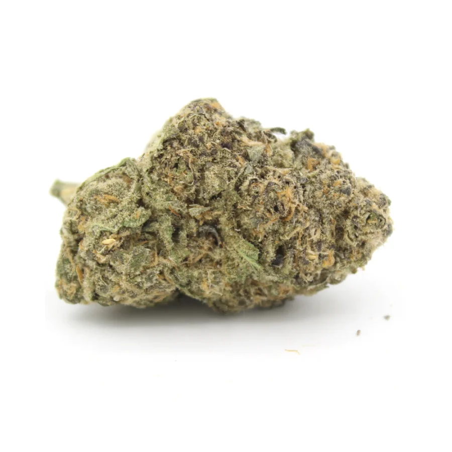 Phenom Genetics - Exotic Animal AAAA+