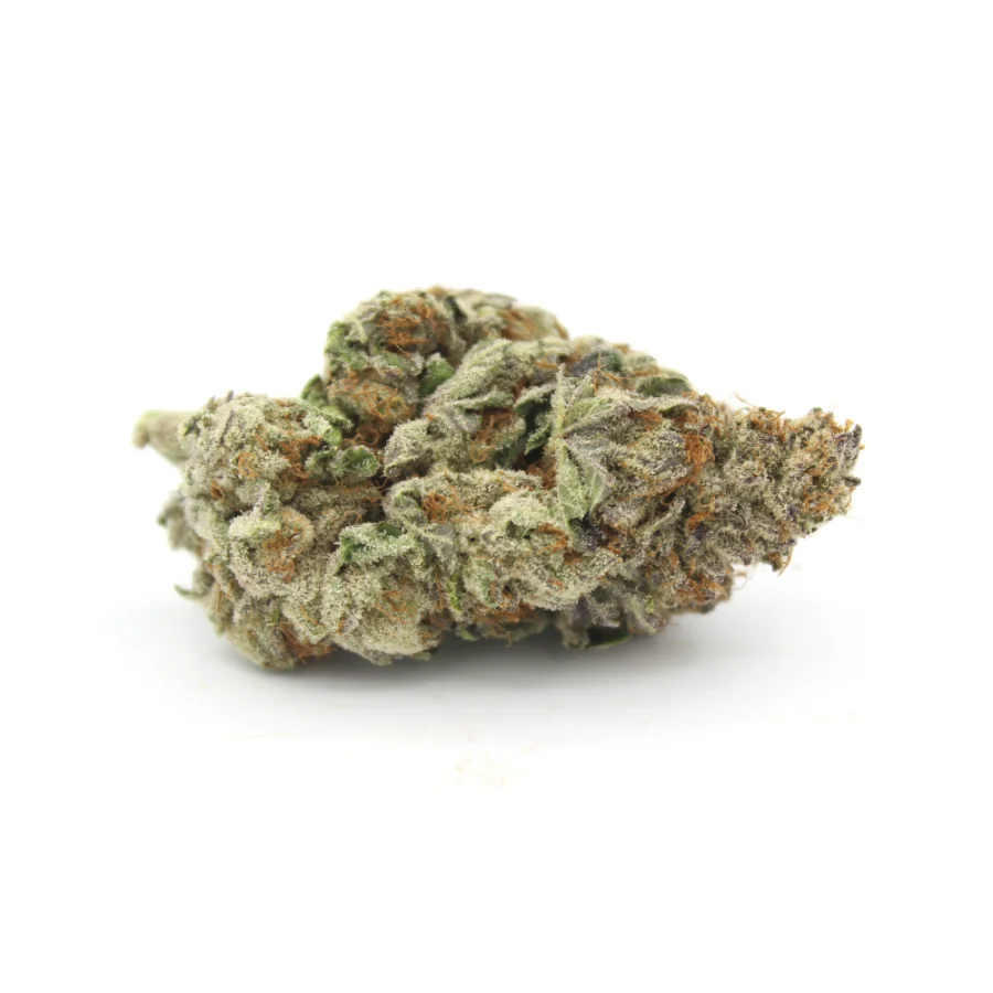 Phenom Genetics - Katsu Pink AAAA+