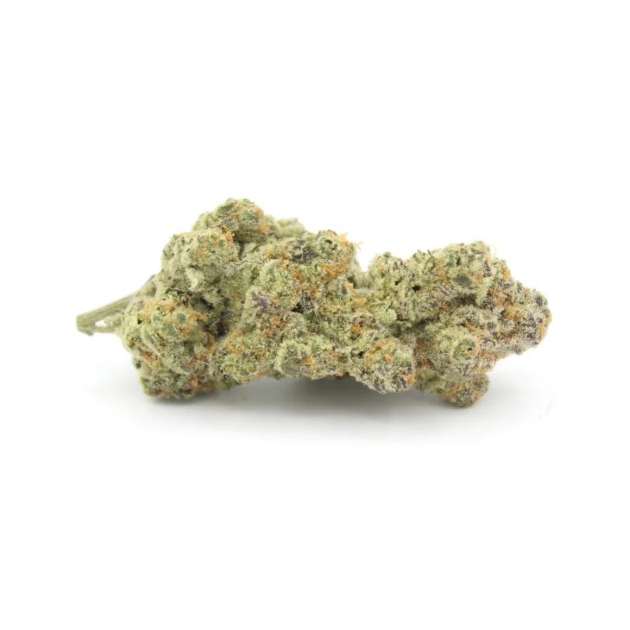 Phenom Genetics - Slurricane AAAA+