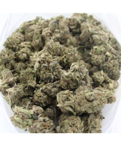 Master Kush Aaa 5 Master Kush Aaa