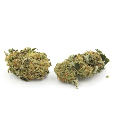 Lemon Skunk | Popcorn