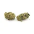Lemon Skunk | Popcorn