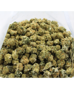 Lemon Skunk | Popcorn