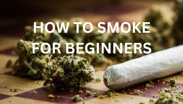 How To Smoke For Beginners