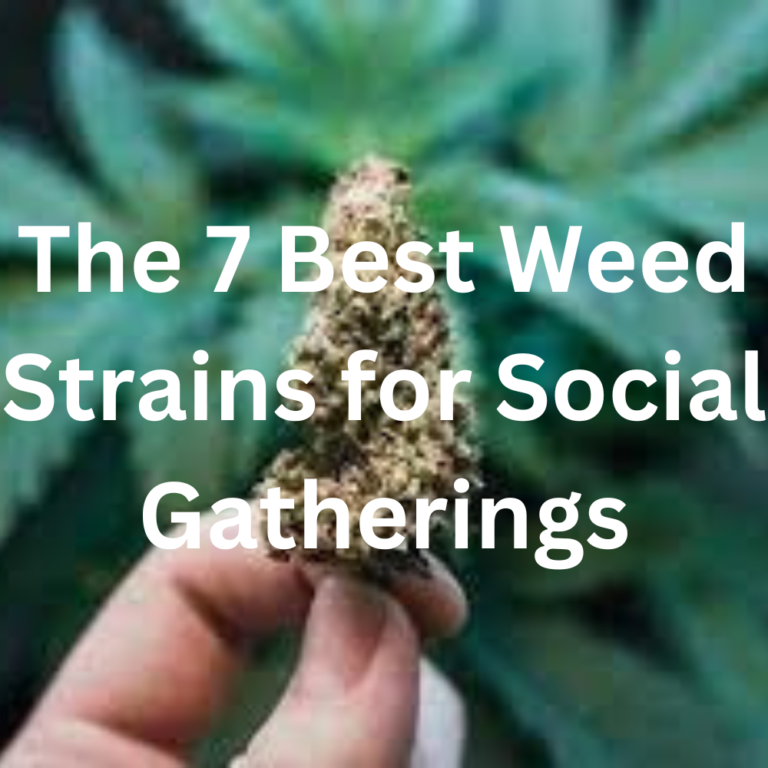 The 7 Best Weed Strains For Social Gatherings