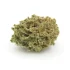 Super Silver Haze Smalls