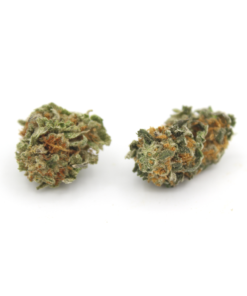 Girl Scout Cookies Smalls