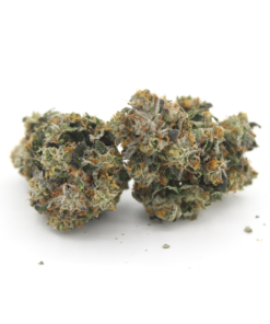 Bluefin Tuna Kush Aaa