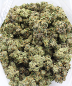 Bluefin Tuna Kush | Aaa 5 Bluefin Tuna Kush Aaa