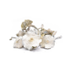 Albino Zilla Dried Mushrooms