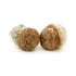 Magic Mushroom | Gold Member