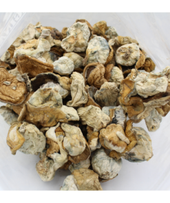 Magic Mushroom | Gold Member 5 Magic Mushroom | Gold Member