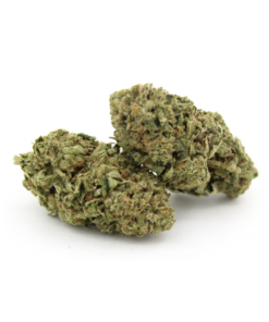 Hindu Kush | AAA