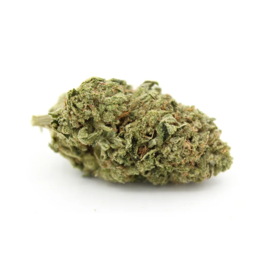 Hindu Kush | AAA