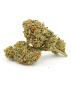 Shishkaberry Aa
