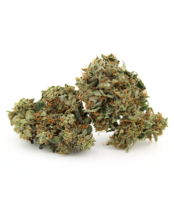 Girl Scout Cookies Aa