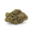 Dutch Treat AA