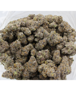Grand Daddy Purple Aaaa+