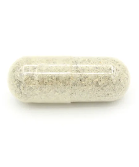 Macro Mushroom Capsules 500mg