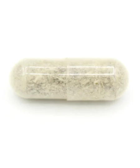 Micro Mushroom Capsules 250mg