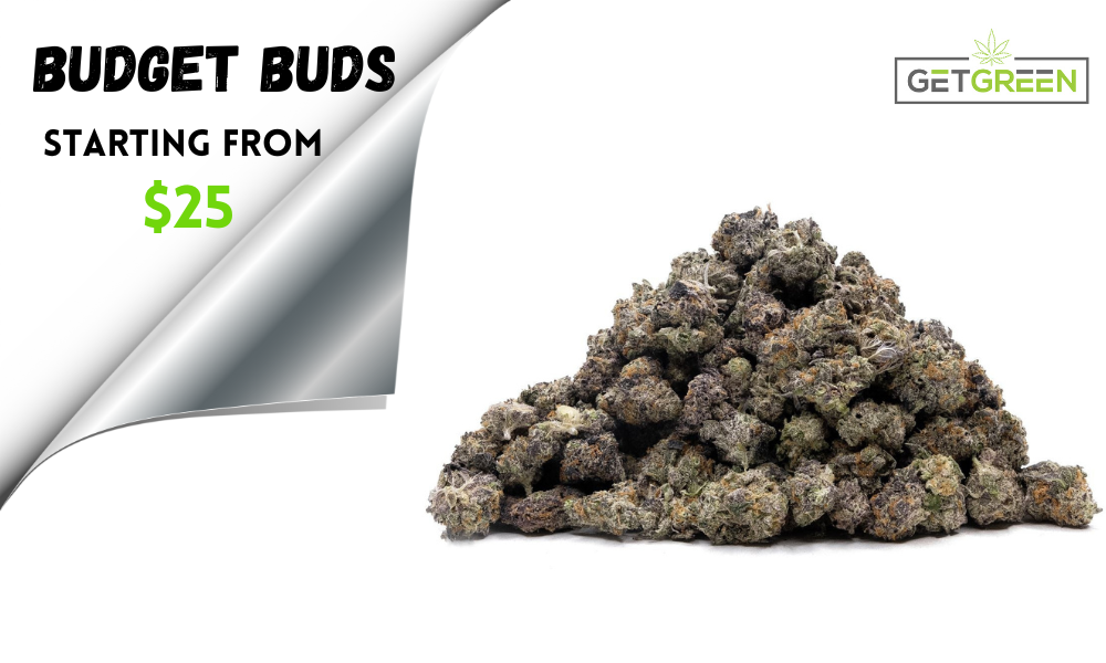 Budget Buds