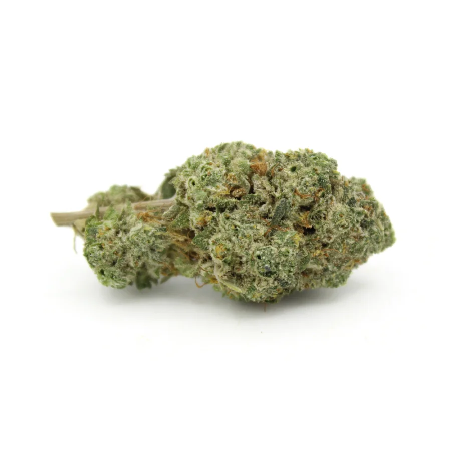 Guava Berry Kush AAA