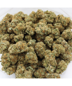 Irish Cream | Aaa 5 Irish Cream Aaa