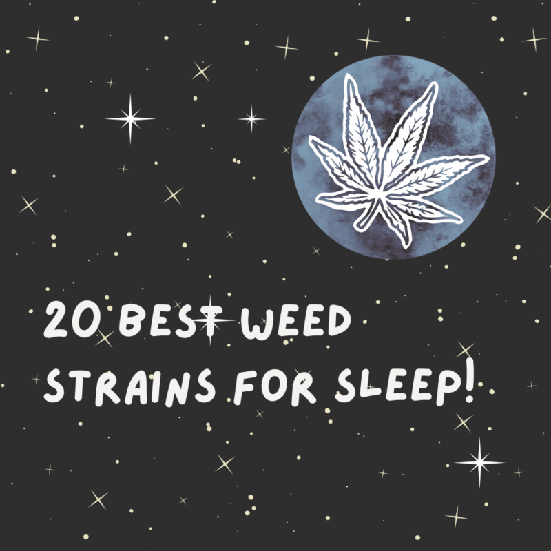 20 Cannabis Strains Well-Regarded For Helping With Sleep And Insomnia,
