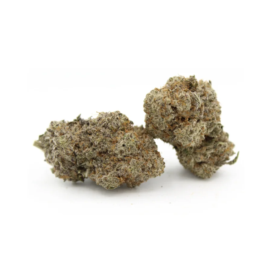 Midnight Cookie | AAAA