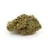 Passion Fruit Dream Smalls