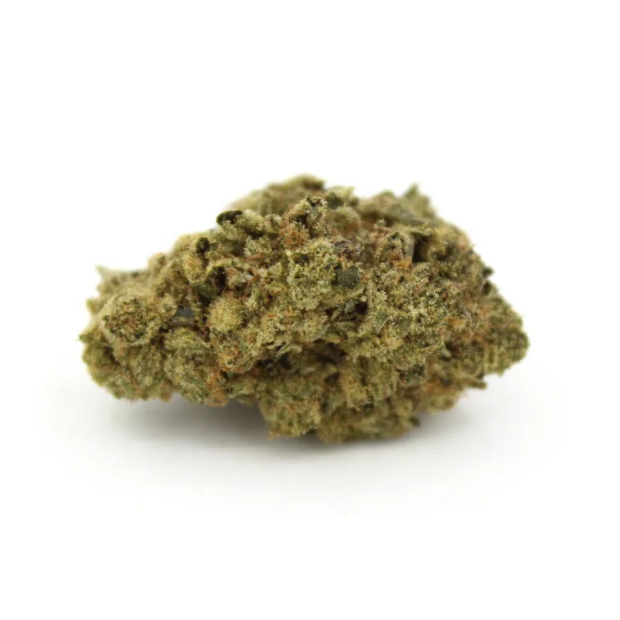 Passion Fruit Dream Smalls