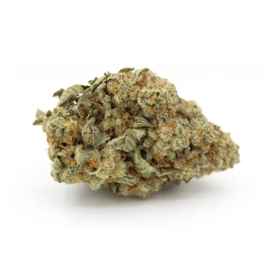 White Rhino AAA