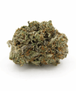 True Gold OG AAA