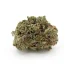 True Gold OG AAA