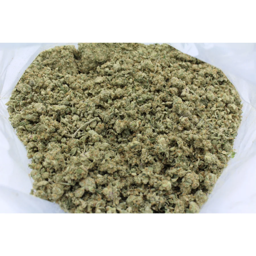 Shake - Cali Orange