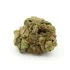 G-13 | AA