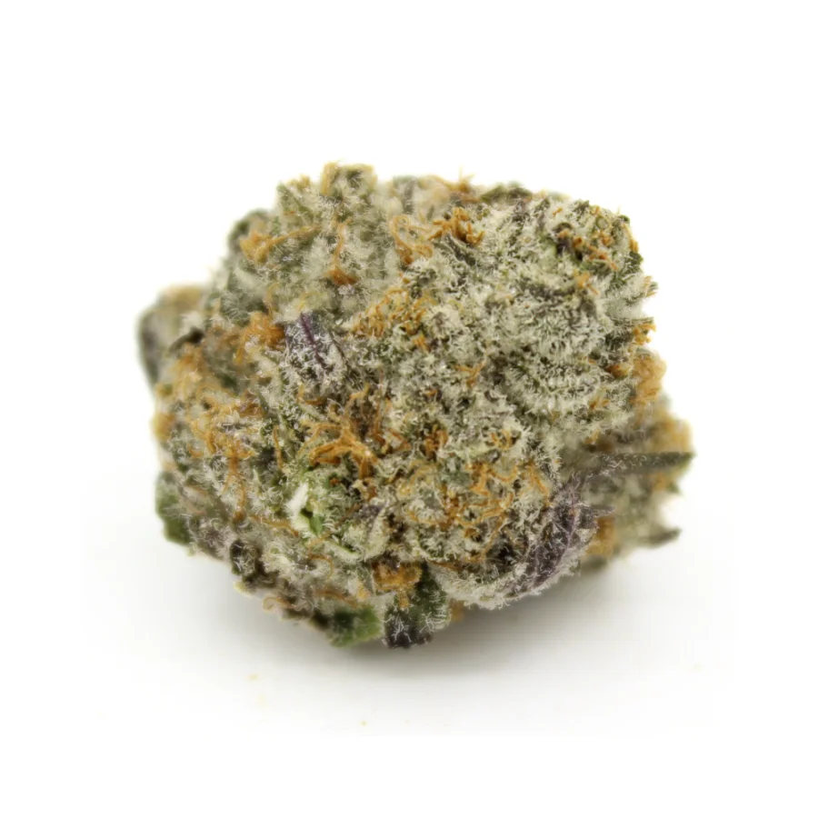 Supreme Gelato Smalls | AAAA