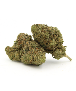 Animal Cookies | AAA